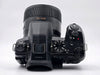 Panasonic Lumix Panasonic FZ1000 II with 25-400mm f/2.8-4 Leica DC Lens