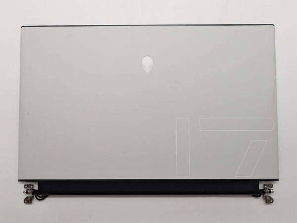 Dell OEM Alienware m17 R2 17.3