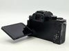 Panasonic Lumix G100D (DC-G100DK ) Mirrorless Camera with 12-32mm Lens