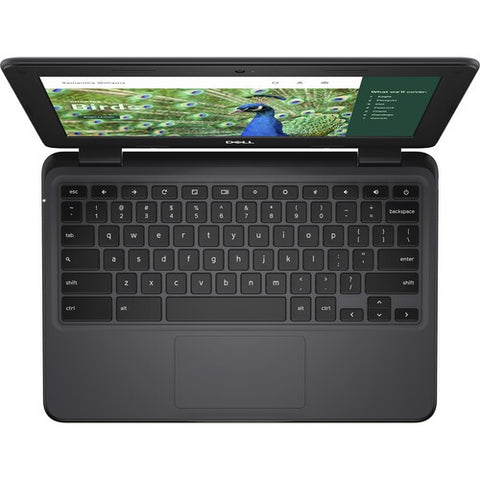 Dell 3120 Chromebook Intel Celeron N100 4GB 64GB 11.6 Chrome 1366 x 768 3Cell 42