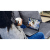 Lenovo ThinkBook 14 G5 IAU 2-in-1 Multi-Touch Intel Ultra 5 225U Intel Arc 16GB