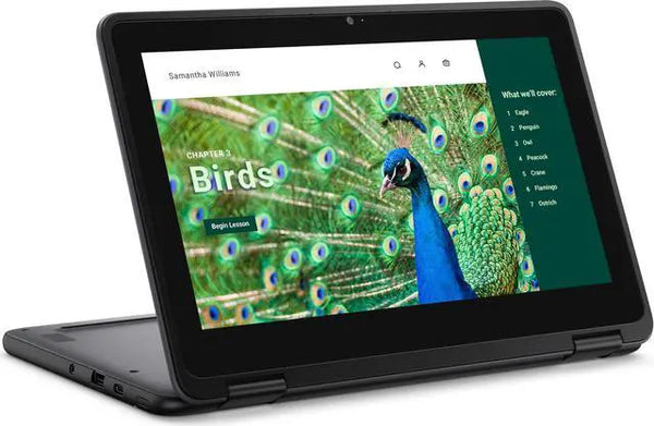 Dell Chromebook 3120 2024 11.6 in N Series N100 32GB SSD 4GB RAM 4