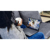 Lenovo ThinkBook 14 G5 IAU 2-in-1 Multi-Touch Intel Ultra 7 255U Intel Arc 16GB