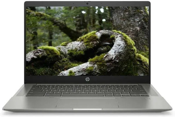 HP 14 in FHD Chromebook 3050C 4GB RAM 128GB SSD Chrome OS Ryzen 3 3250C