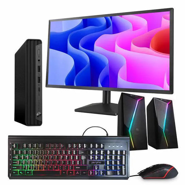 HP ProDesk 600 G6 Mini Intel Core i5 32GB RAM 1TB SSD 24 in i5-10500