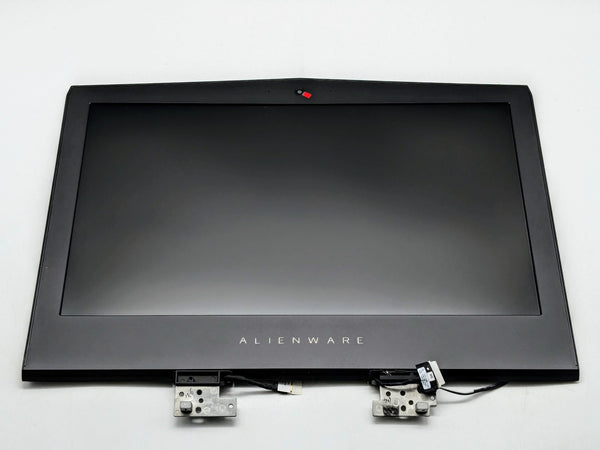Dell OEM Alienware 15 R4 FHD LCD Assembly 120Hz IVA01 30N65 *READ*