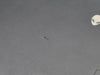 Dell OEM Alienware m17 R3 R4 17.3